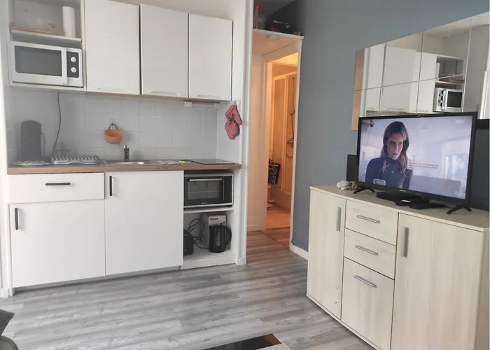 Apartamento Les Petits Becs , Joli T2 Vue Mer, Wifi, Parking